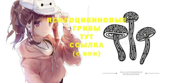 мескалин Михайлов