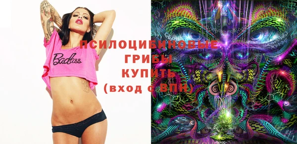 дмт Михайловск
