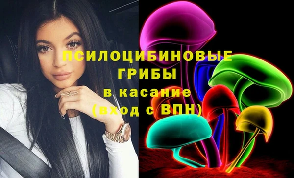 дмт Михайловск