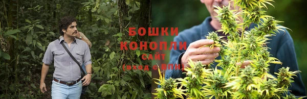 амф Михайловка