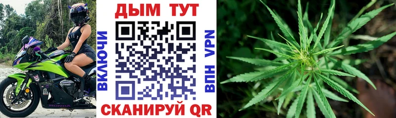 Бошки марихуана Bruce Banner Красково